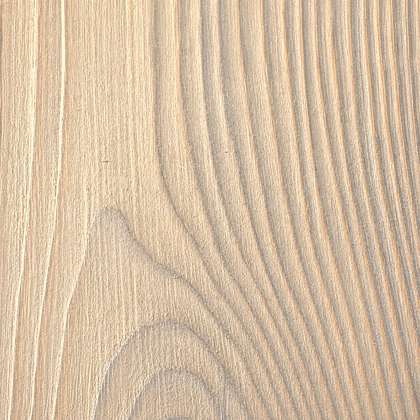Charred wood texture